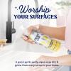 Cleancult – Wild Lavender – All Purpose Cleaner – Refillable Aluminum Bottle – Cleaner Spray that Removes Dirty & Grime – 16 oz – 1 Pack(Lemon Verbena)